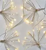 EMOS LED Christmas nano catena trasparente - grappoli Anteprima dell’immagine prodotto 19