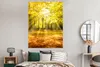 MuchoWow® Poster Baum - Natur - Sonne - Landschaft - Wald Produktbild-Vorschau 4