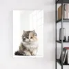Magnettafel 60x90cm Pinnwand Whiteboard beschreibbar - Produktbild-Vorschau 3