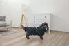 Kerbl Hunde Bademantel navy, Größe:M Produktbild-Vorschau 6