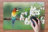 MuchoWow® Schreibtischunterlage Vogel - Bienenfresser - Produktbild-Vorschau 3