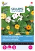 Buzzy Popínavé kvety Thunbergia Mix Semená - cca 0,5 gr | Náhľad obrázku produktu 4
