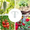Support pour plantes vivaces hauteur 70 cm - support pour Voir les images du produit 7