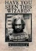 Wanted Sirius Black Maxi Poster - Harry Potter Produktbild-Vorschau 1