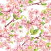 Coloray Fototapete 250x250 cm Vlies-Fototapete - Produktbild-Vorschau 2