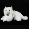 Mascotte Gatto Persiano Bianco Di Peluche Realistico Rappa Anteprima dell’immagine prodotto 4