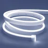 5m LED Streifen DC12V Dimmbar Neon Lichtleiste Wasserdicht Produktbild-Vorschau 2