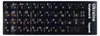 Tastiera per laptop Tradebit 08 57 81 11X13 US QWERTY Anteprima dell’immagine prodotto 1