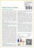 SAFLAX  - Palmier à chanvre - 10 graines - Chamaerops Voir les images du produit 3