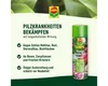 COMPO Duaxo Rosen-Pilz Spray 400 ml Produktbild-Vorschau 3