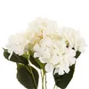 Hortensia Dense Beau Bouquet D'hortensias Fleurs Voir les images du produit 13