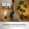 A split image showing a person working at a standing desk on the left and a plant in a pot with a lamp on the right. Produktbild-Vorschau