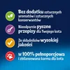 Felix Fantastic Adult Mięsne Smaki w Galaretce karma dla Podgląd zdjęcia produktu 8