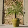 Provencelia Keramik Pflanzkübel Lafontaine Olive, Ø52 x H52 Produktbild-Vorschau 4