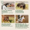 AniForte Käse Kauknochen für Hunde 65-80 g – Natürlicher Produktbild-Vorschau 5