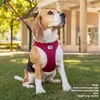 Curli Air-Mesh, Hund, Weste, M, Braun, Nylon, Polyester, Produktbild-Vorschau 8