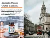 DR WAKDE'S Asthi Shrinkhala Capsules (Cissus Náhled obrázku produktu 10