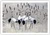 Poster - Poster ohne Rahmen - Vogel Natur Wasser - 100x70 Produktbild-Vorschau 1