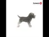 Schleich Schnauzer in miniatura, 13892 Anteprima dell’immagine prodotto 5