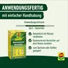 COMPO Rasenunkraut-Vernichter Banvel Quattro, Bekämpfung Produktbild-Vorschau 4