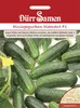 Einlegegurke Diamant F1 | Einlegegurkensamen von Dürr Samen Produktbild-Vorschau 3