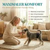 HUND IST KÖNIG Hundewindeln für Rüden [3 Stk], M (Taille Produktbild-Vorschau 4