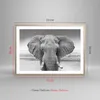 Gerahmtes Poster - Rahmen in heller Eiche - Elefant Afrika Produktbild-Vorschau 5
