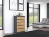 Topeshop M5 ANTRACYT/ARTISAN, Anthrazit, Eiche, 5 Produktbild-Vorschau 13