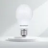Blaupunkt Glühbirne e27 - Led Lampe - Matt - 12W (100W) - Produktbild-Vorschau 9