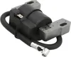 Module de bobine d'allumage du moteur 590454 692605 790817 Voir les images du produit 3