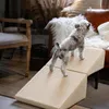 Scala per Cani Pieghevole 2 in 1, Rampa per Animali e Anteprima dell’immagine prodotto 6