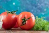 Concime organico concentrato all'ortica1L Anteprima dell’immagine prodotto 4