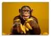 Wallario selbstklebendes Poster - Glücklicher Bananenfan, Produktbild-Vorschau 1