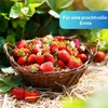 Greenyp Blaudünger NPK Dünger für Pflanzen 5-30kg I Produktbild-Vorschau 5