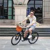 26Zoll E Bike Herrenfahrrad ab 155cm City Elektrofahrrad Produktbild-Vorschau 7