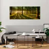 Bilder auf glas - Wald grün Sonnenstrahlen Natur - 120x50cm Produktbild-Vorschau 6