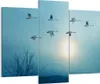 Bild auf Leinwand - Leinwandbild - Storch Vogel Natur - Produktbild-Vorschau 1