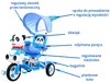 vélo enfant à 3 roues Panda Blue + bruit + capote + Voir les images du produit 7