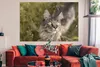 MuchoWow® Poster Eine Maine Coon-Katze im hohen Gras Produktbild-Vorschau 2