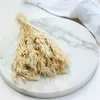 Getrocknete Gerste - Gebleicht Produktbild-Vorschau 6