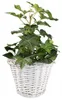 KOTARBAU® Blumentopf geflochten Korb geflochten Weidenkorb Produktbild-Vorschau 4