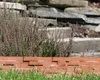 A garden border made of brick-like material with plants growing behind it and grass in front. Produktbild-Vorschau