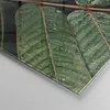 Bilder auf glas - Einteilig - Tropfen Wasser Blätter - Produktbild-Vorschau 5
