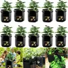 10 sacs de plantes, sac de plantation de pommes de terre 7 Voir les images du produit 1