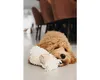 Hračka pro psy beeztees Eco Toy Sheep Jovi 20 x 6 x 21 cm Náhled obrázku produktu 6