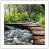 Poster - Poster ohne Rahmen - Park natur grün bäume - 50x50 Produktbild-Vorschau 1