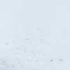 A close-up view of a white shaggy carpet. Anteprima dell’immagine prodotto