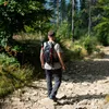 A person is hiking on a rocky path in a forest. Náhľad obrázku produktu