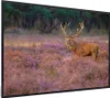 MuchoWow® MuchoWow® Gerahmtes Poster Hirsche - Niederlande Produktbild-Vorschau 7