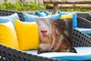 MuchoWow® Outdoor Kissen - Gemälde - Ölfarbe - Frau - Wein Produktbild-Vorschau 4